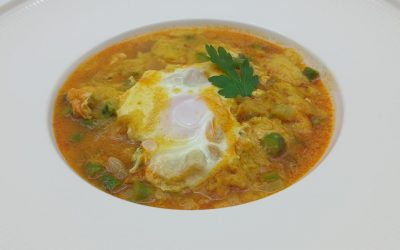 Sopa de gato