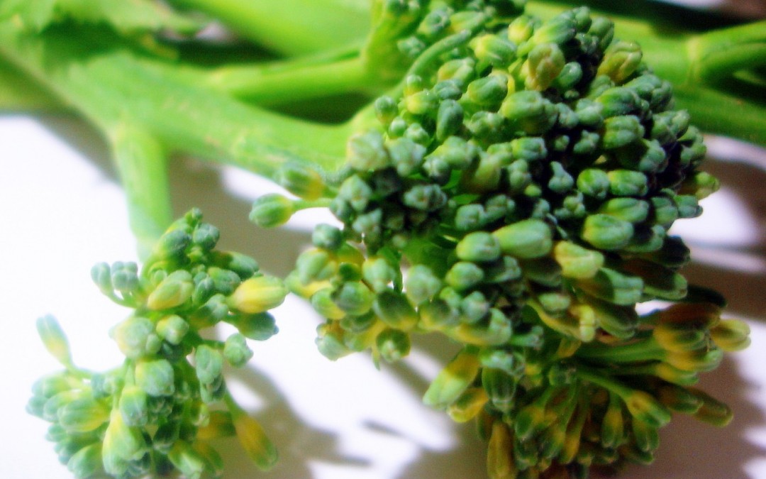 La nueva súper verdura