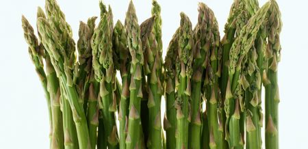 Es tiempo de espárrago verde andaluz